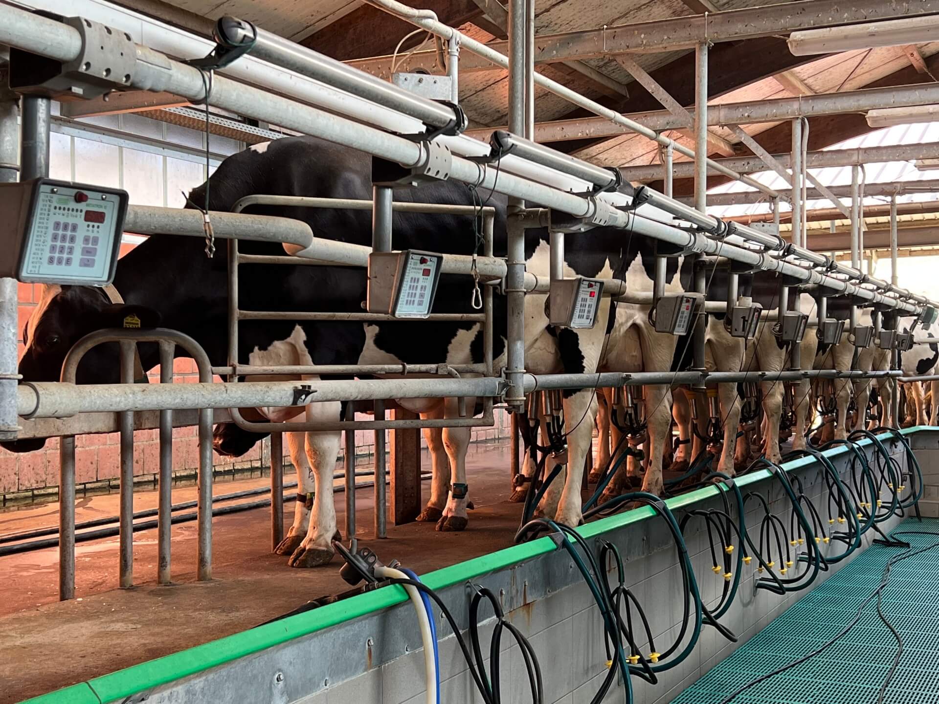 Notstrom in der Landwirtschaft